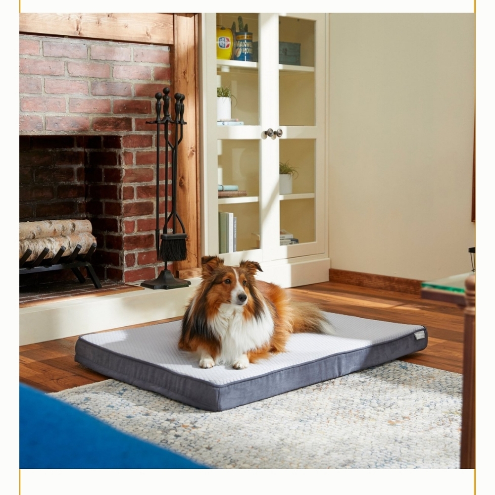 SALE ** BRAND NEW IN BOX ** CHEWY ORTHAPEDIC Dog/Cat Bed